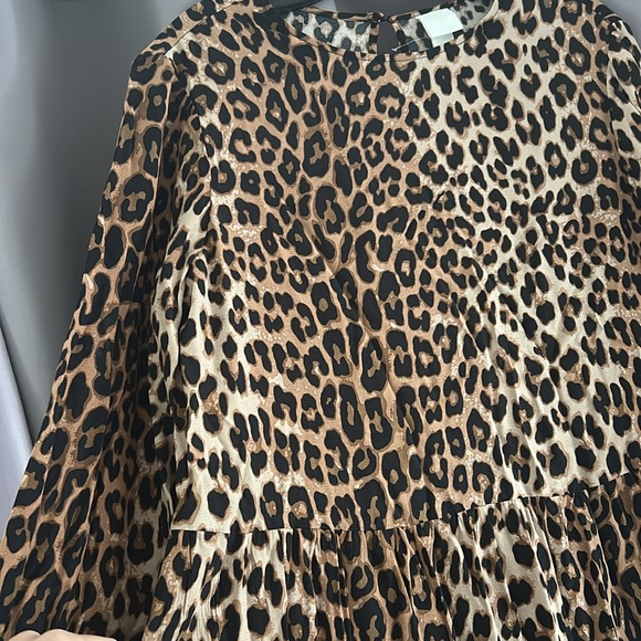 HM Long Sleeve Leopard Maxi Dress - Picture 4 of 7